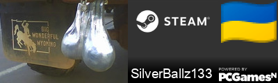 SilverBallz133 Steam Signature