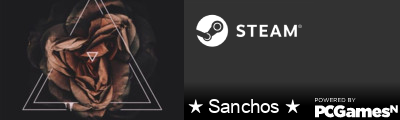 ★ Sanchos ★ Steam Signature