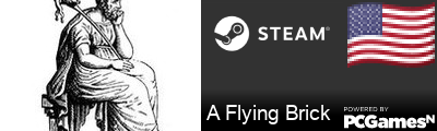 A Flying Brick Steam Signature