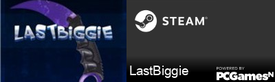 LastBiggie Steam Signature