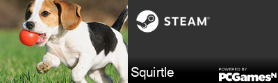 Squirtle Steam Signature