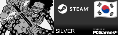 SILVER Steam Signature
