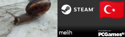 melih Steam Signature