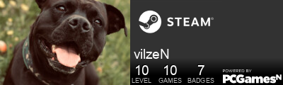 vilzeN Steam Signature