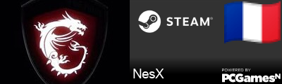 NesX Steam Signature