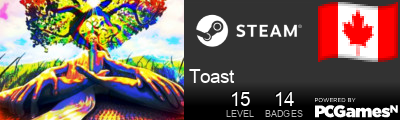 Toast Steam Signature