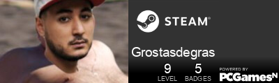 Grostasdegras Steam Signature