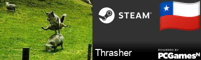 Thrasher Steam Signature