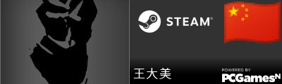 王大美 Steam Signature