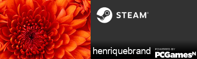 henriquebrand Steam Signature