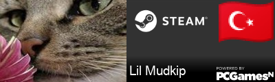 Lil Mudkip Steam Signature