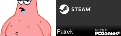 Patrek Steam Signature