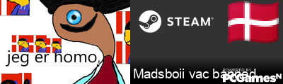 Madsboii vac banned Steam Signature