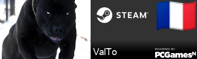 ValTo Steam Signature