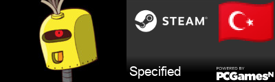 Specified Steam Signature