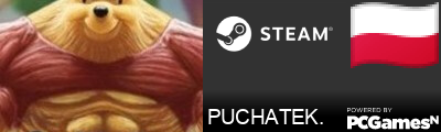PUCHATEK. Steam Signature