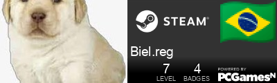 Biel.reg Steam Signature
