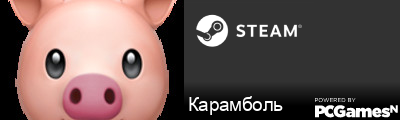 Карамболь Steam Signature