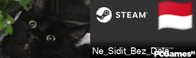 Ne_Sidit_Bez_Dela Steam Signature