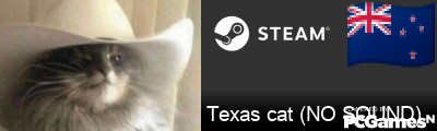 Texas cat (NO SOUND) Steam Signature
