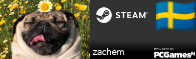 zachem Steam Signature