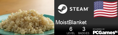 MoistBlanket Steam Signature
