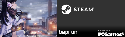bapijun Steam Signature