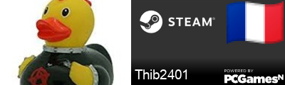 Thib2401 Steam Signature