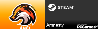 Amnesty Steam Signature