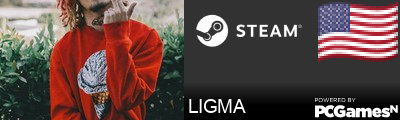 LIGMA Steam Signature