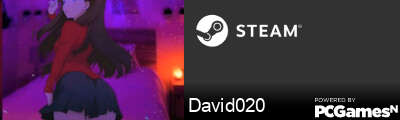 David020 Steam Signature