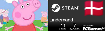 Lindemand Steam Signature