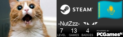 -NutZzz-  ◥◣ ◢◤ Steam Signature