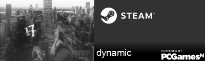 dynamic Steam Signature