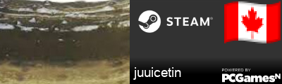 juuicetin Steam Signature