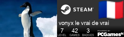 vonyx le vrai de vrai Steam Signature