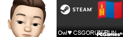 Owl♥ CSGORUN.RUN Steam Signature