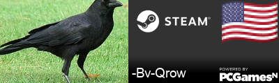 -Bv-Qrow Steam Signature