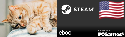 eboo Steam Signature