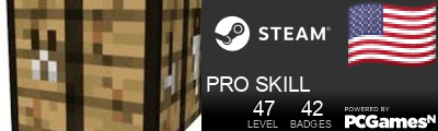 PRO SKILL Steam Signature