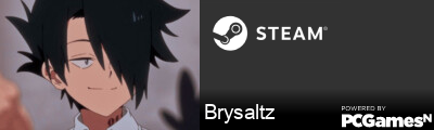 Brysaltz Steam Signature