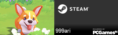 999ari Steam Signature