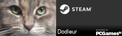 Dodleur Steam Signature