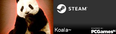 Koala~ Steam Signature