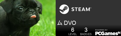 ム DVO Steam Signature