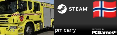 pm carry Steam Signature