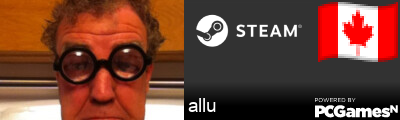 allu Steam Signature