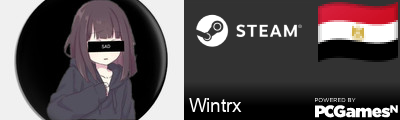 Wintrx Steam Signature