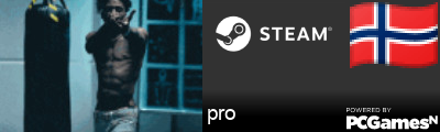 pro Steam Signature