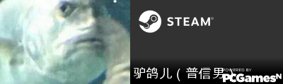 驴鸽儿（普信男） Steam Signature